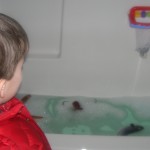 bathwater
